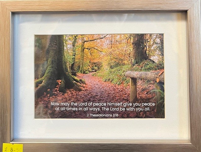 Peace - Framed Print - PIC15