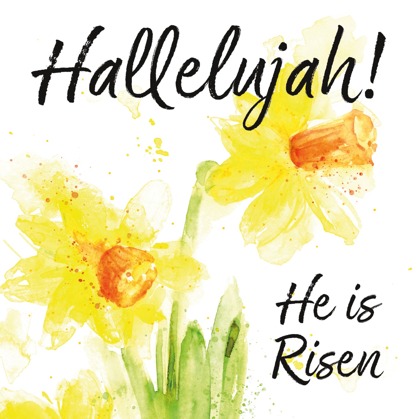 Easter Daffodils - Hallelujah! He is Risen - Pack of 4 Cards