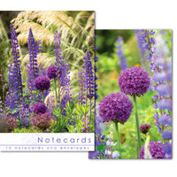 Leonard Smith Notecards - Blank - Alium