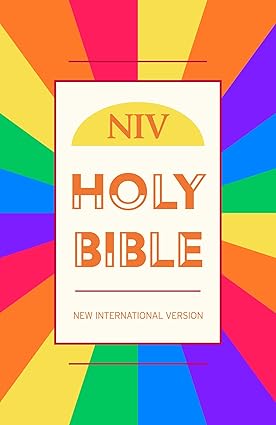 NIV Large Print Personal Bible - Rainbow