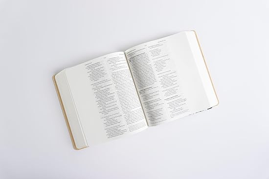 NIV Art Bible: Journal, Take Notes and Draw