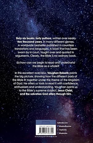 God's Big Picture: A Bible Overview