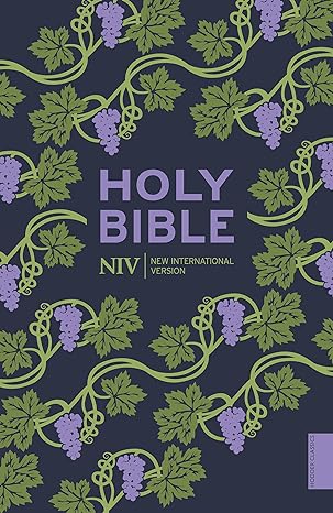 NIV Holy Bible (Purple Paperback)