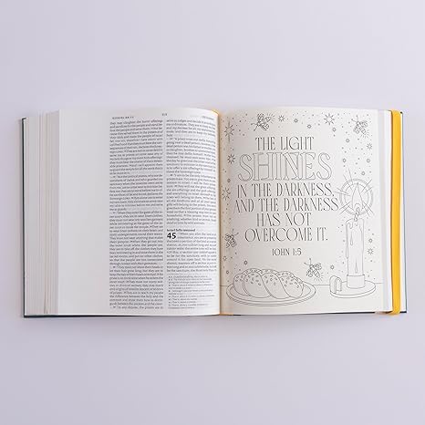 NIV Illuminated Bible