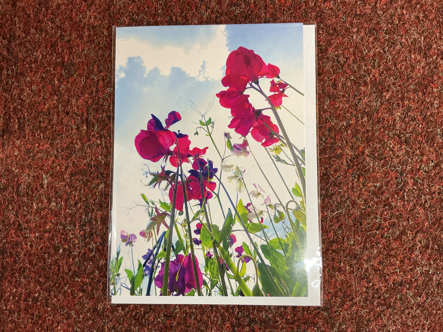 Sweet pea Card