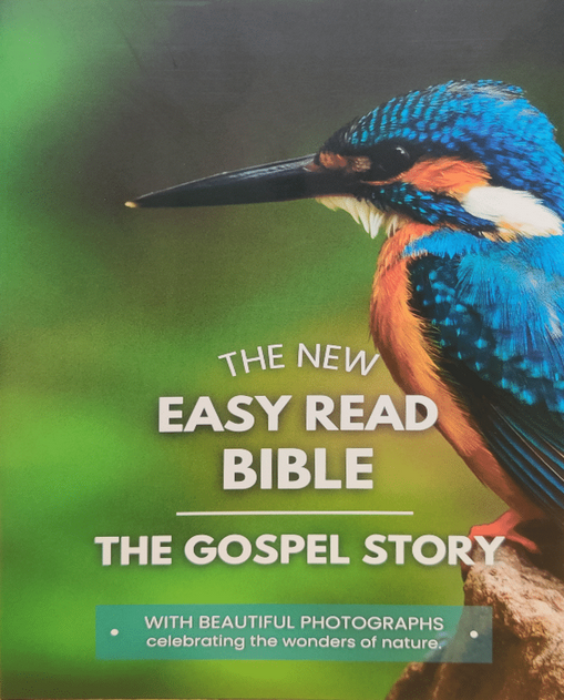 The New Easy Read Bible - The Gospel Stories