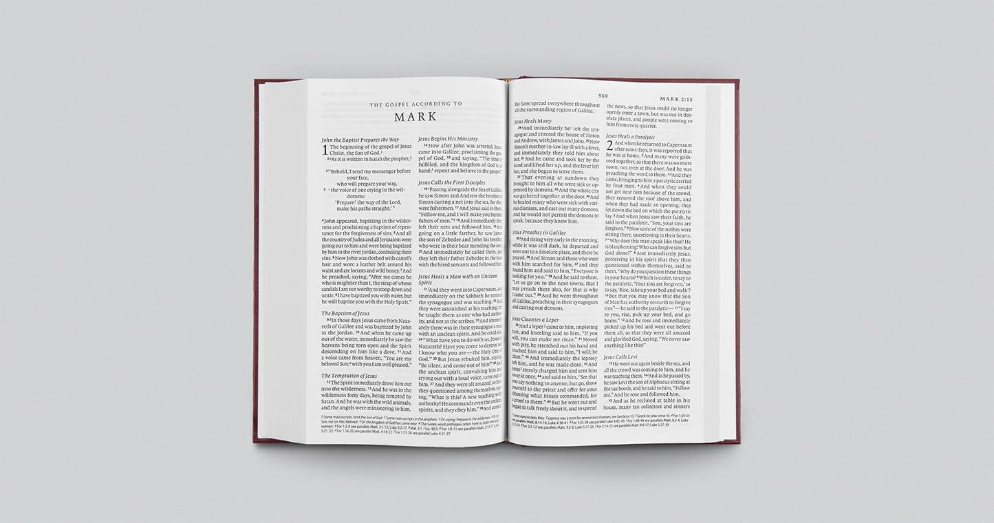 ESV Large Print Church Bible