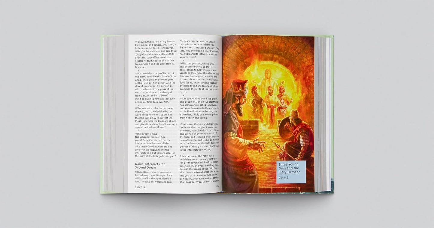 ESV Dyslexia Friendly Bible for Kids