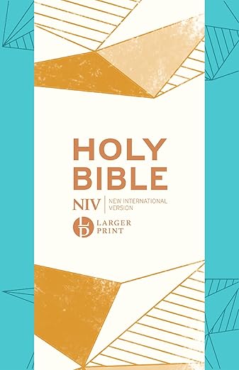 NIV Holy Bible - Larger Print