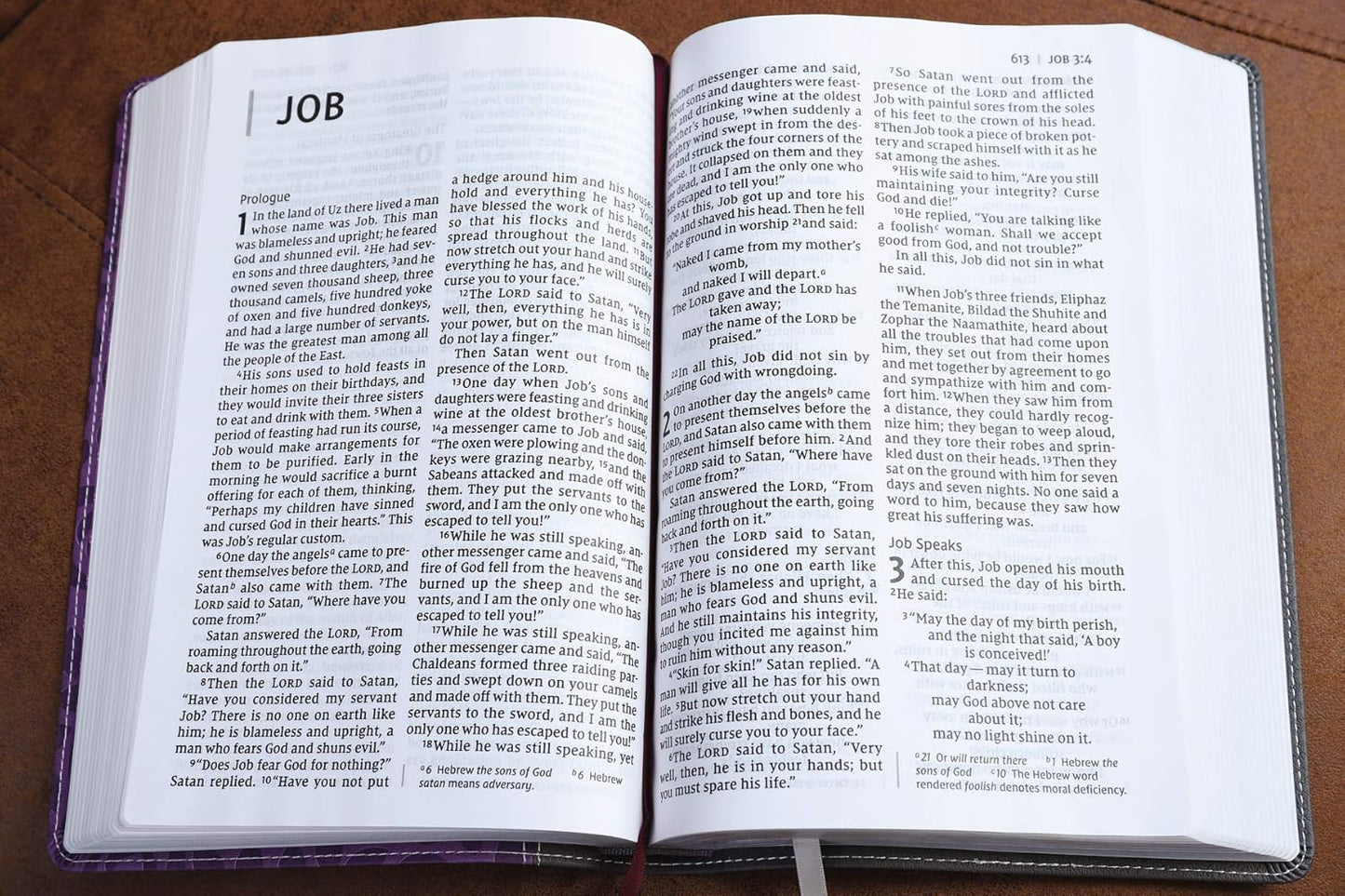 NIV Thinline Giant Print Bible