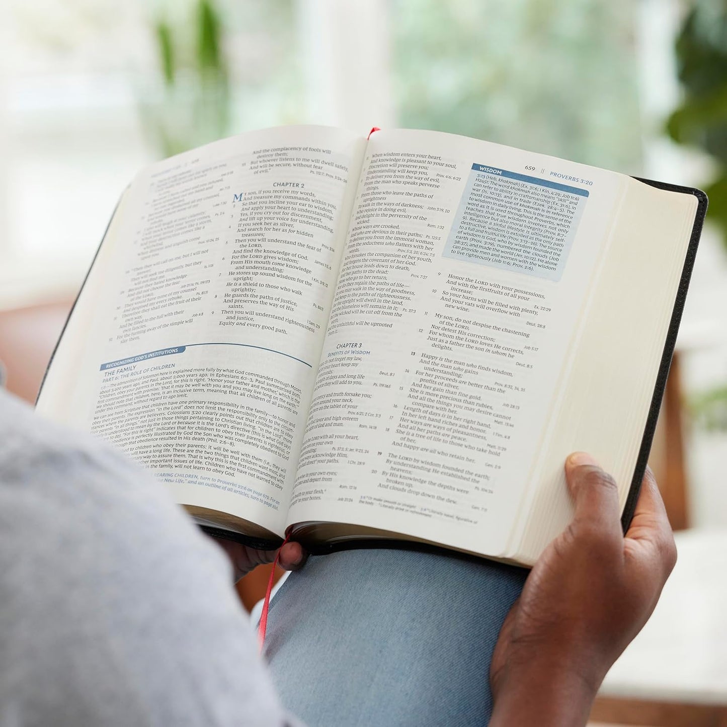 NKJV The Open Bible