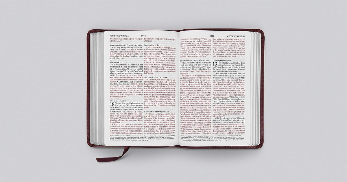 ESV Large Print Compact Bible