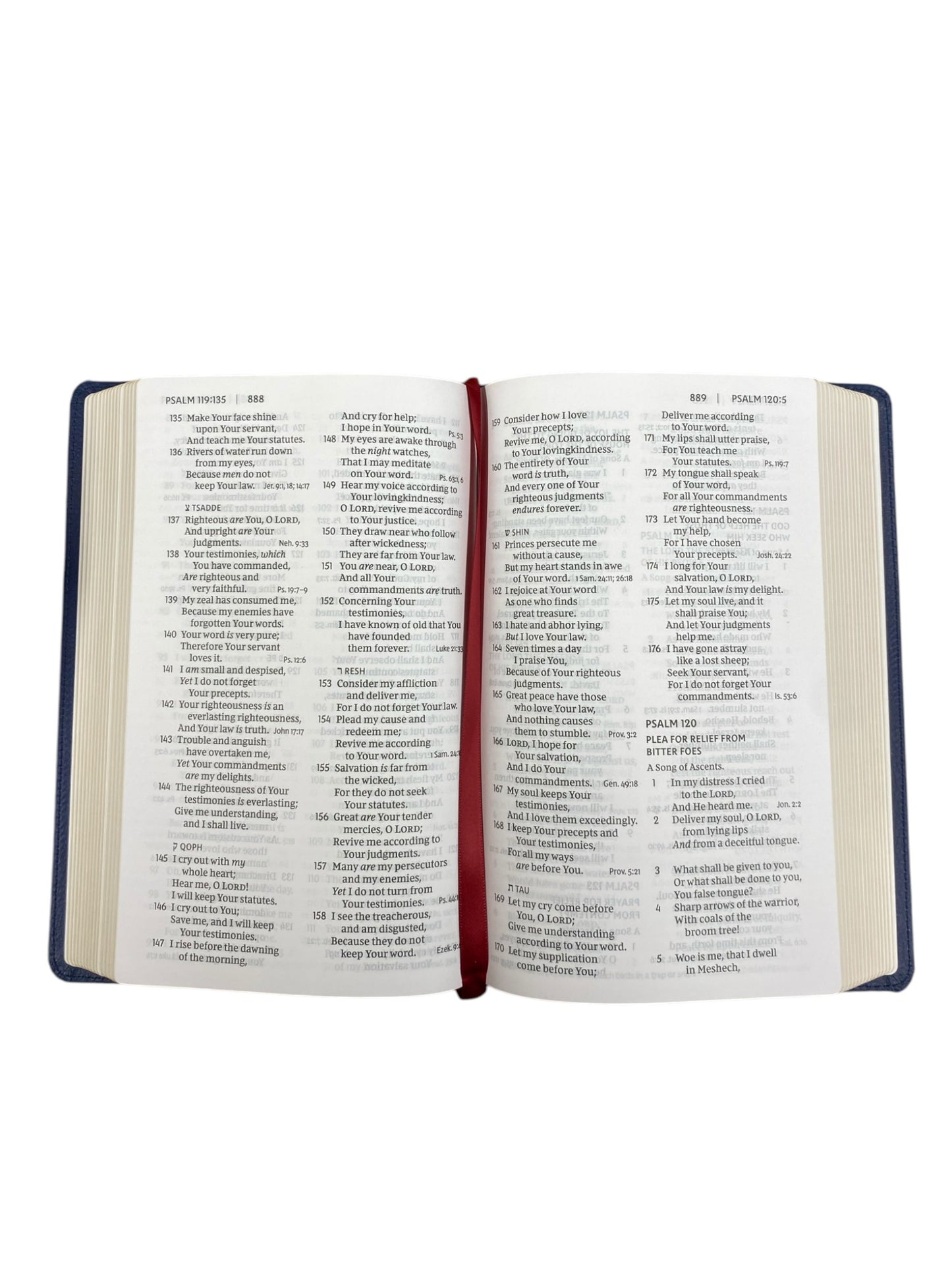 NKJV Bible - Large Print