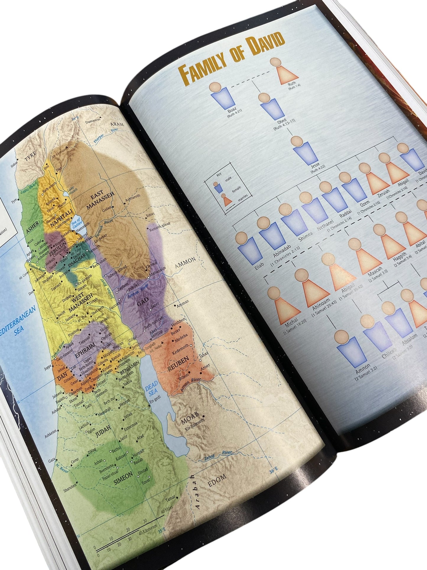 NKJV Illustrated Study Bible for Kids