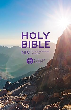NIV Holy Bible - larger print