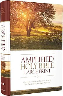 Zondervan Amplified Holy Bible