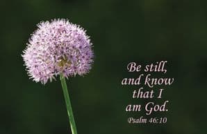 Be Still - Blank Card