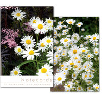 Leonard Smith Notecards - Blank - Daisies