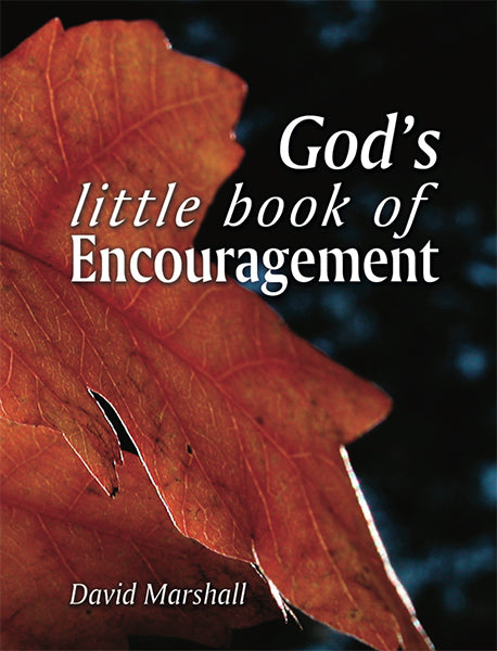 God's Little Book of Encouragement
