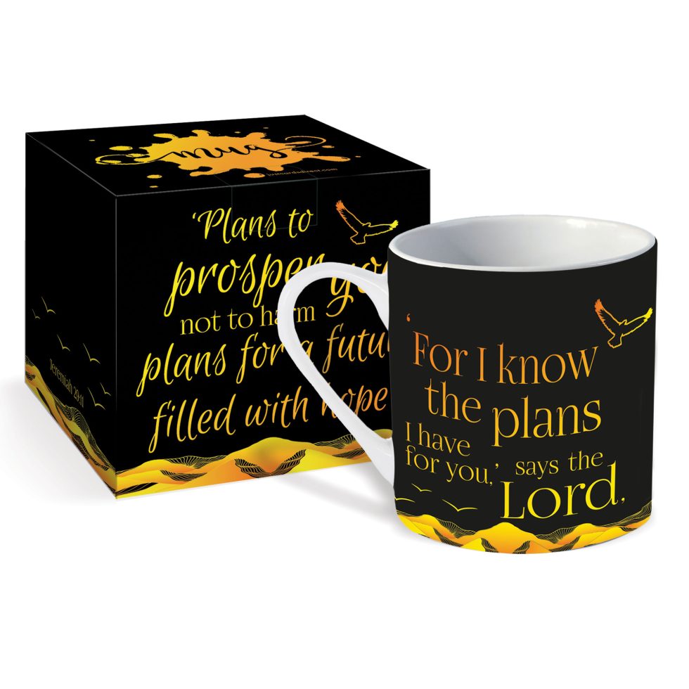 Plans for You Mug