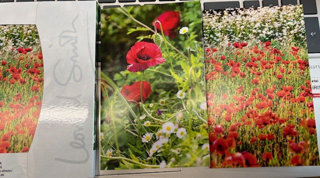 Leonard Smith Notecards - Blank - Poppies