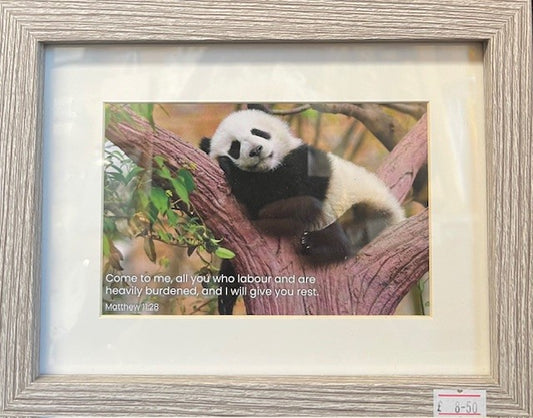 Come To Me - Framed Print - PIC13