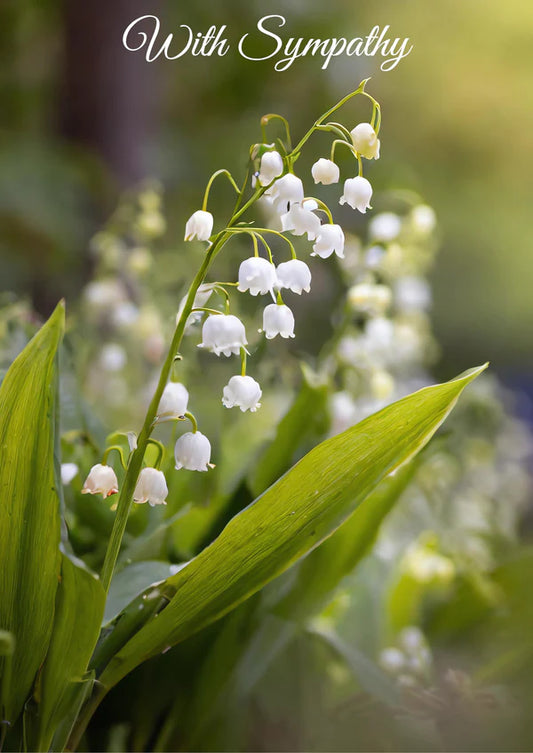 Lily of the Valley - With Sympathy Card