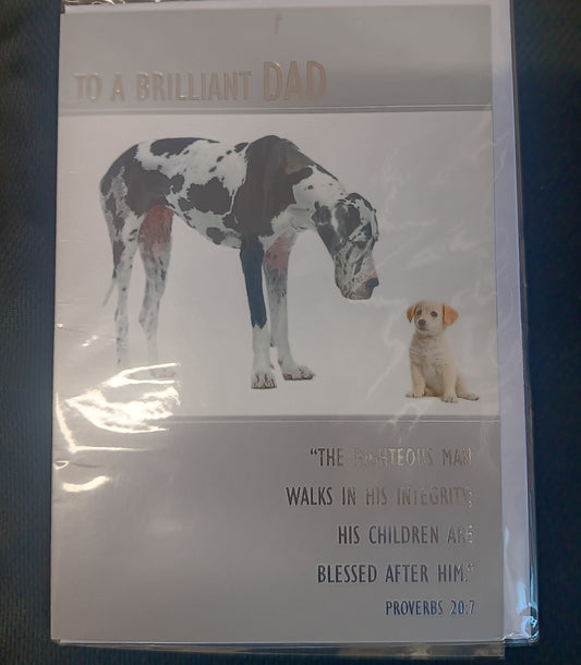 To A Brilliant Dad - Birthday Card