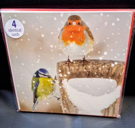 Robin and Blue Tit Christmas Cards - Pack of 4