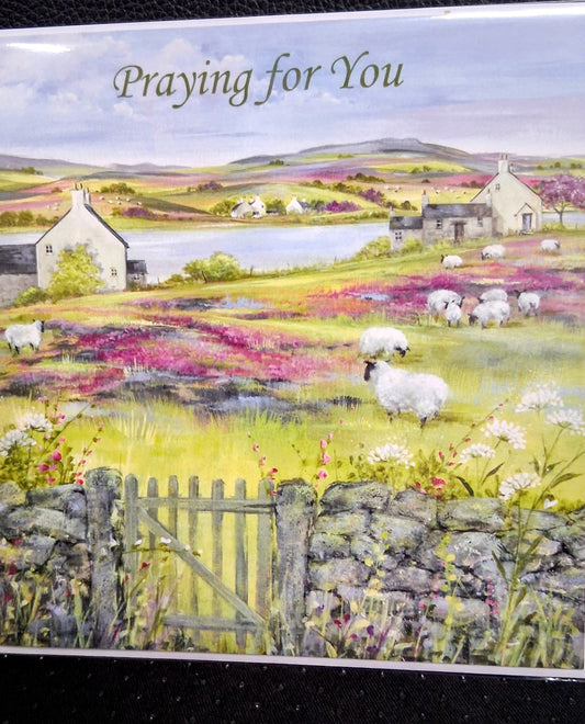 Praying for you Greeting card