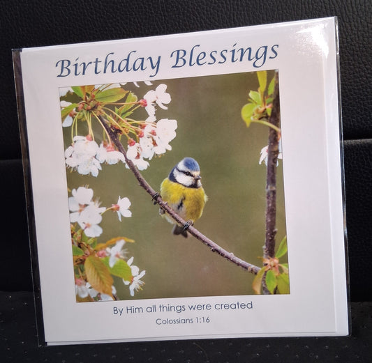 Birthday Blessings - Greeting Card