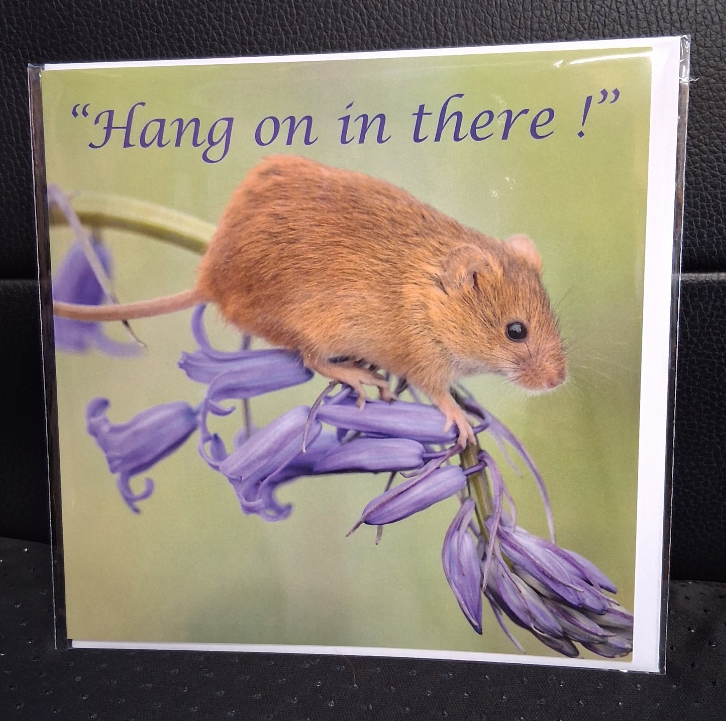 Hang on in there! - Greetings Card