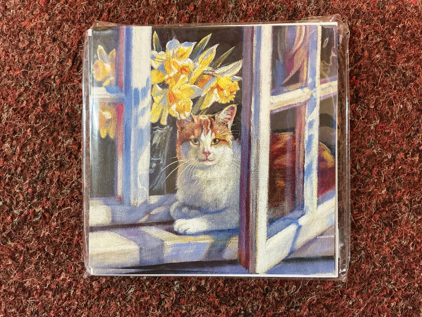 Cat Notelets - Pack of 8