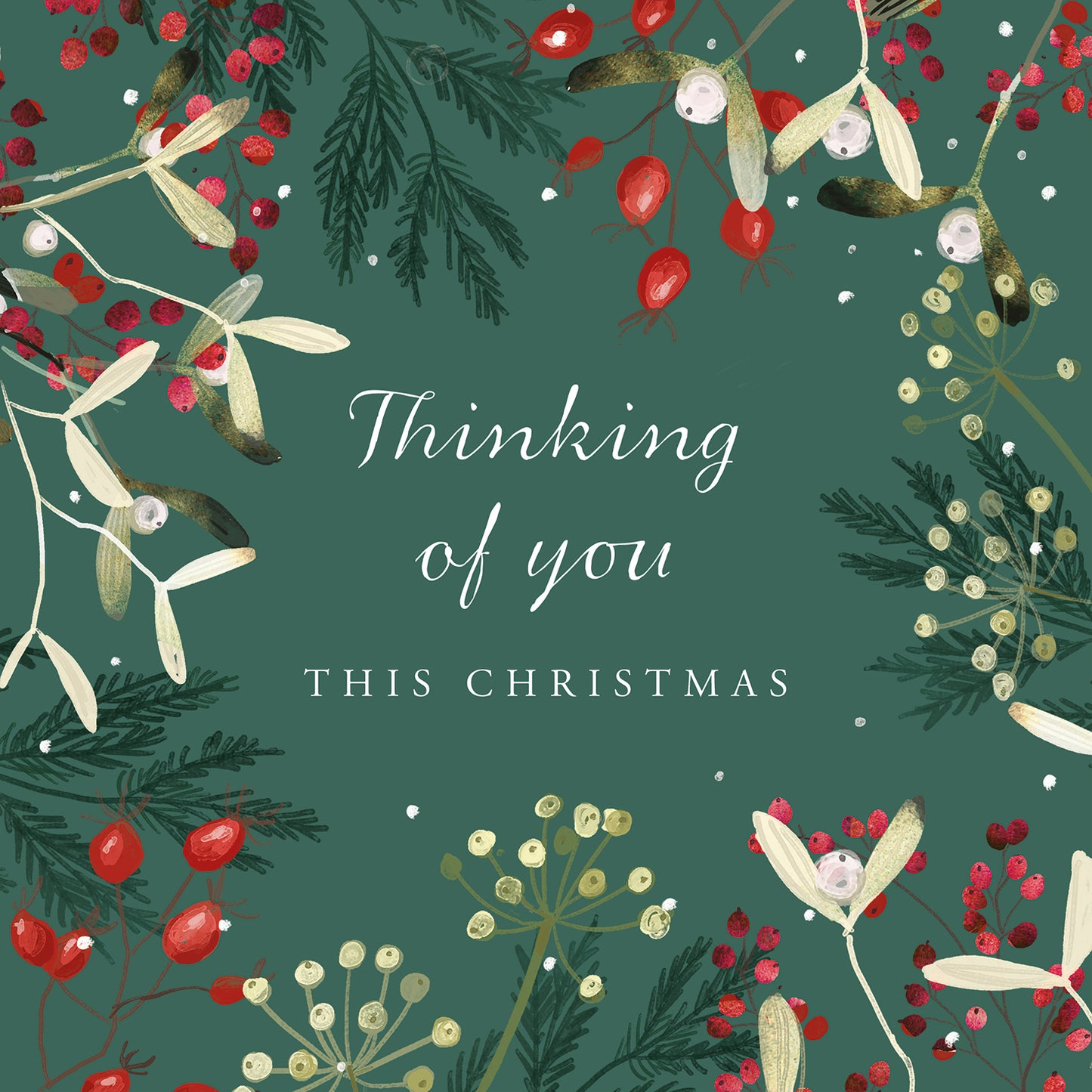 Thinking of You This Christmas - The Leprosy Mission Christmas Cards