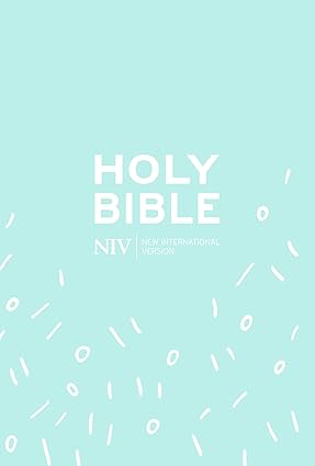 NIV Holy Bible (Mint Soft-Tone)