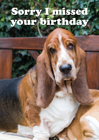 Sorry I Missed Your Birthday Card