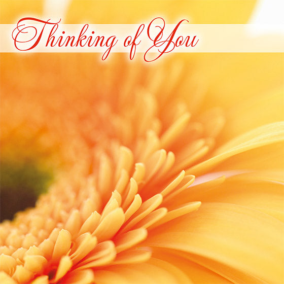 Thinking of You - Card