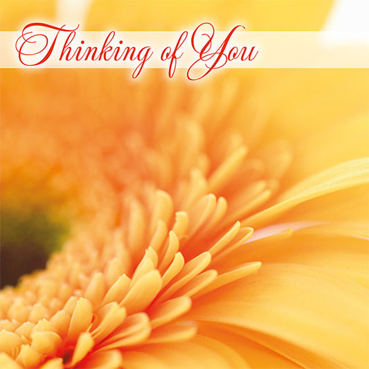 Thinking of You - Card