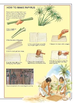 The Story of the Bible