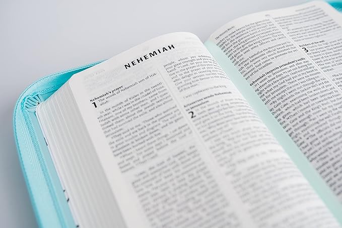 NIV Holy Bible (Mint Soft-Tone)