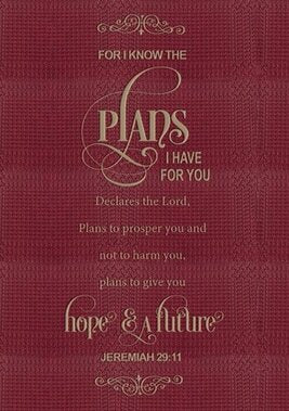 For I Know the Plans - Journal