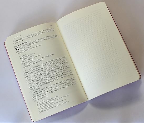 NIV The Gospel of John for Journaling