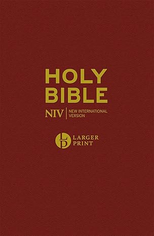 NIV Holy Bible (Larger Print)