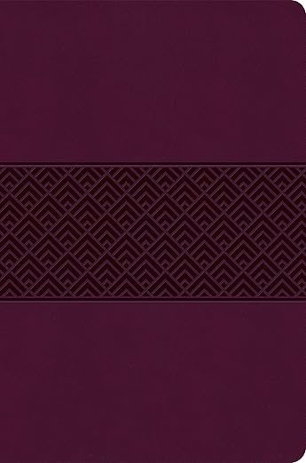 CSB Everyday Study Bible - Wine Leathertouch