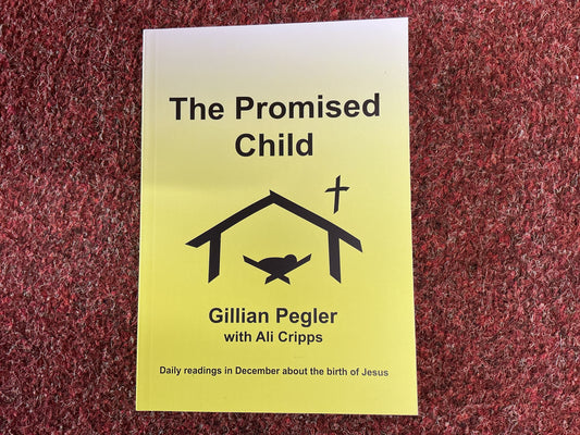 The Promised Child by Gillian Pegler