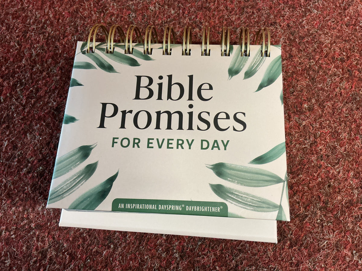 Bible Promises For Every Day