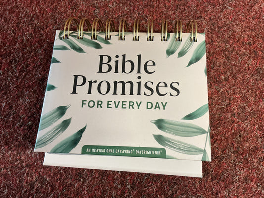 Bible Promises For Every Day
