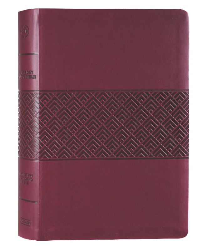 CSB Everyday Study Bible - Wine Leathertouch