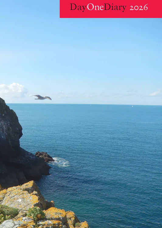 Day One Diary 2026