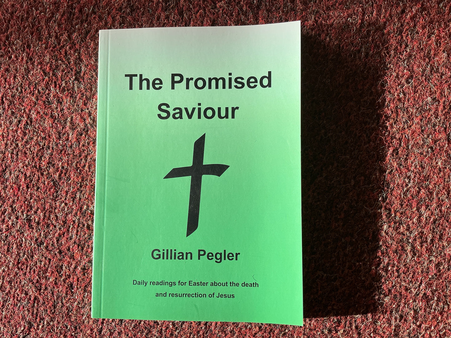 The Promised Saviour